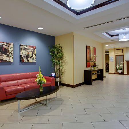 Holiday Inn Express Hotel Raleigh Southwest, An Ihg Hotel Extérieur photo